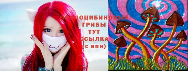 гидропоника Дмитриев