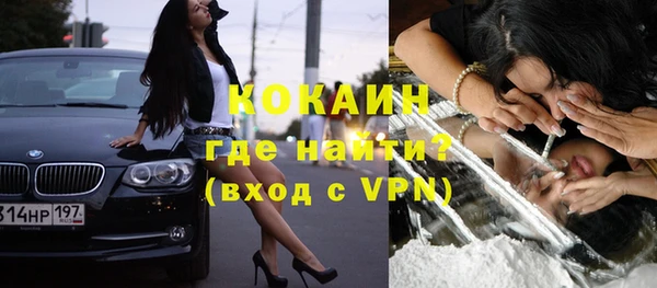 гидропоника Дмитриев